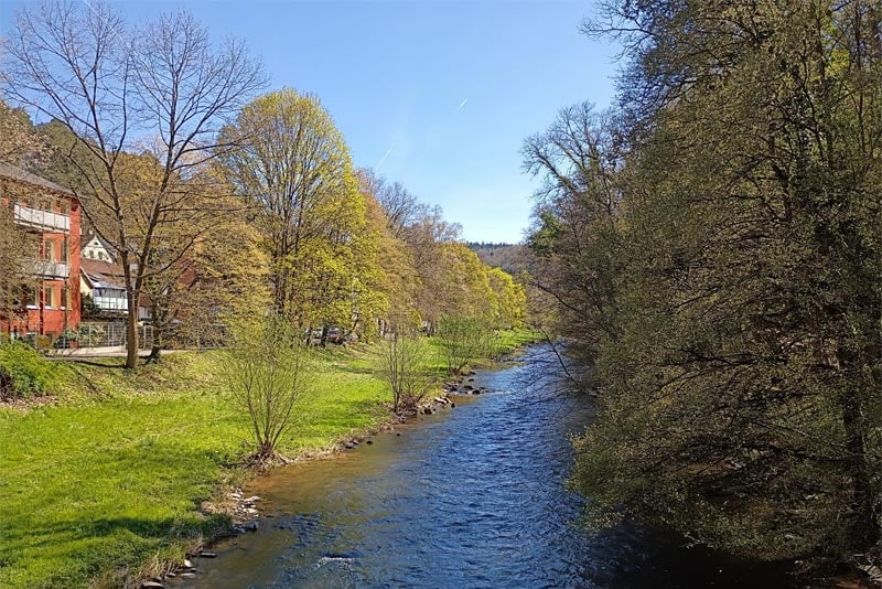 nature