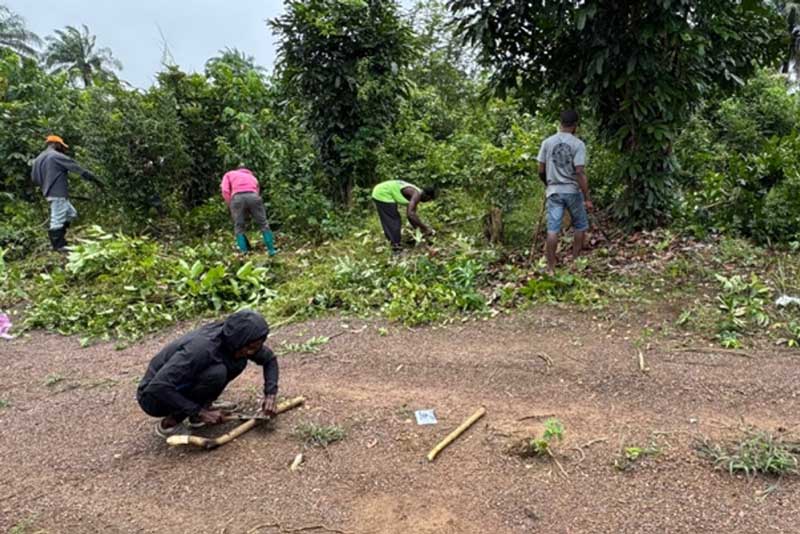 BHK agriculture project